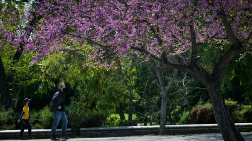 Ελληνες και κορονοϊός: Αυτοί είναι οι μεγαλύτεροι φόβοι μας - Οι δραστηριότητες μας στην πανδημία