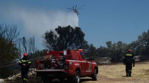 Οριοθετήθηκαν οι πυρκαγιές σε Αλιβέρι, Δομοκό, Ναύπλιο, Τανάγρα και Νέα Σάντα Ροδόπης