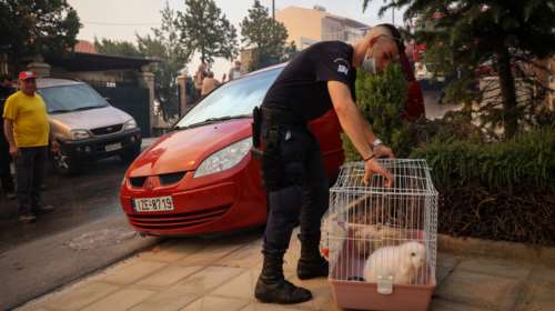 Φωτιά στη Βούλα: Στη &#39;&#39;μάχη&#39;&#39; για την αντιμετώπιση της πυρκαγιάς πάνω από 150 αστυνομικοί και 48 οχήματα