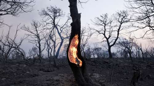 Εικόνες καταστροφής στην Αττική: 12+1 εντυπωσιακά καρέ του Reuters από τις φωτιές