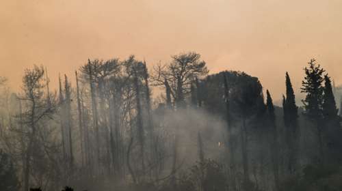 Έβρος: Υπό μερικό έλεγχο η πυρκαγιά κοντά στην περιοχή της Κορνοφωλιάς