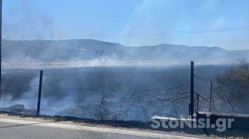 Φωτιά σε αγροτοδασική έκταση στη Λέσβο