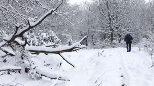 Καιρός: Έρχεται πολική κακοκαιρία με τσουχτερό κρύο και πτώση της θερμοκρασίας - Ποιες περιοχές θα ντυθούν στα λευκά