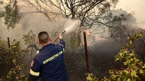 Φωτιά στην Τανάγρα - Άμεση η επέμβαση της Πυροσβεστικής