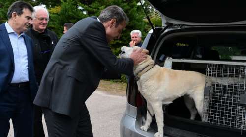 Στην Αγία Βαρβάρα ο Μητσοτάκης: Η συνάντηση με Ουκρανούς, η Λάρα της ΕΛΑΣ και η ατάκα &quot;Είσαι κούκλος από κοντά&quot; [βίντεο]