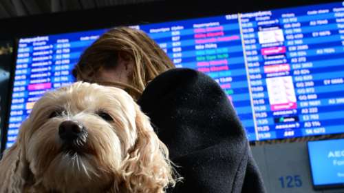 FIR Αθηνών: "Μαζεύει" η ΥΠΑ τα περί παρεμβολών -  "Τεχνικό το πρόβλημα" που προκάλεσε χάος στα αεροδρόμια