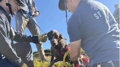 Ατρόμητος και... εφτάψυχος: Ο Μπρακ έπεσε από 12 μέτρα ύψος χωρίς να χάσει την ψυχραιμία του - Πώς σώθηκε