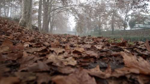 Καιρός: Κλασικό φθινόπωρο, με λίγες συννεφιές και βροχές