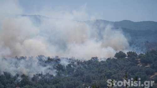 Λέσβος: Μεγάλη φωτιά στο Σκαλοχώρι - Επιχειρούν 4 εναέρια μέσα