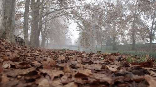 Καιρός: Ερχεται με... φόρα το κρύο - Σε ποιες περιοχές έπεσε η θερμοκρασία κάτω από τρεις βαθμούς
