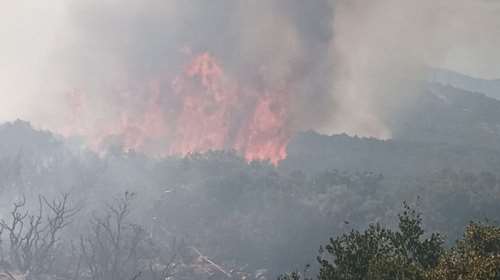 Συναγερμός στην Πυροσβεστική - Μεγάλη φωτιά στο Τζάιλο της Δυτικής Αχαΐας
