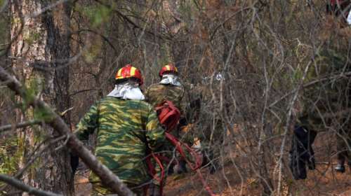 Καίγεται για έβδομη μέρα το Δάσος της Δαδιάς - Ξεκίνησαν οι εναέριες ρίψεις νερού