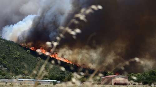 Πολύ υψηλός κίνδυνος πυρκαγιάς και αύριο - Για ποιες περιφέρειες χτυπάει συναγερμός