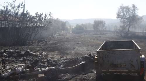 Κικίλιας για τη φωτιά στη Βάρης - Κορωπίου: Εμπρηστής έβαλε φωτιά σε ξερά χόρτα, υπάρχει βίντεο στα χέρια των αρχών