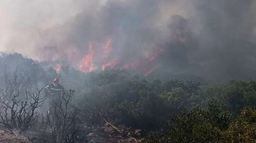 Συναγερμός στην Πυροσβεστική: Φωτιά σε δασική έκταση στην Αρκαδία [βίντεο]