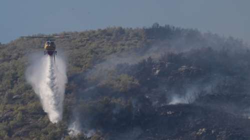 Φωτιά ξέσπασε στον Μαραθώνα - Επιχειρούν εναέρια μέσα