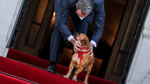 Άνγκελα Μέρκελ: Γιατί δεν την &quot;υποδέχτηκε&quot; ο Πίνατ στο Μέγαρο Μαξίμου - Το παρασκήνιο [Βίντεο]