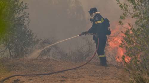 Συναγερμός στην Κεφαλονιά: Φωτιά σε δάσος στο Αργοστόλι - Έκλεισε ο δρόμος προς το Αεροδρόμιο