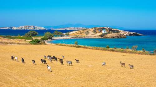 Η γαλλική Figaro βρήκε το &quot;μυστικό&quot; νησί της Ελλάδας: Γιατί μιλάει για &quot;όμορφους ξένους&quot;