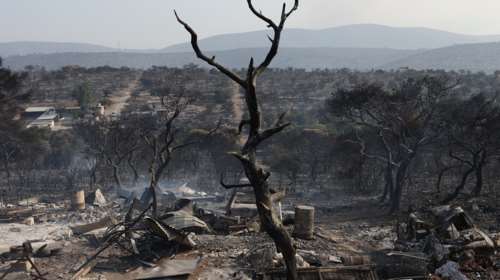 Προειδοποίηση Λέκκα: &quot;Θα βλέπουμε καταστροφές κάθε καλοκαίρι - Τεράστιες οι επιπτώσεις των πυρκαγιών στην Αττική&quot; [Βίντεο]