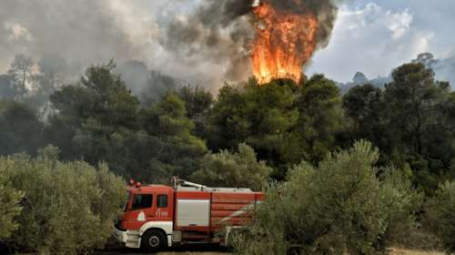 Φωτιά στην Ξάνθη: Τρεις διαφορετικές εστίες σε δύσβατη περιοχή