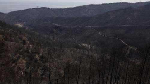 Meteo για φωτιές: Ξεπερνούν τα 1 εκ. στρέμματα οι καμένες εκτάσεις στην Ελλάδα
