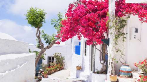 Στην Αμοργό ανταμώνουν το &quot;Αμοργόραμα&quot; και η &quot;Γιορτή του Ψαρά&quot;