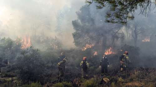 Φωτιά στην Αλεξανδρούπολη: Έστησαν &quot;οχυρό&quot; για να μην περάσει στον πυρήνα της Δαδιάς - Στις έρευνες και η ΕΥΠ
