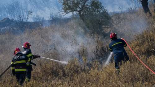 Φωτιά στην Ελασσόνα: Στις φλόγες αγροτοδασική έκταση στην Κοκκινόγη - Στη μάχη και εναέρια μέσα