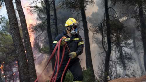 Επίδαυρος: Συναγερμός στην Πυροσβεστική για πυρκαγιά σε δασική έκταση