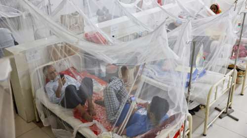 "Καμπανάκι" για τον δάγκειο πυρετό στην Ευρώπη - Πώς μεταδίδεται από τα κουνούπια και τι μπορούμε να κάνουμε