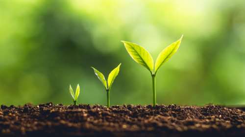 Μονόδρομος για το μέλλον η πράσινη ανάπτυξη