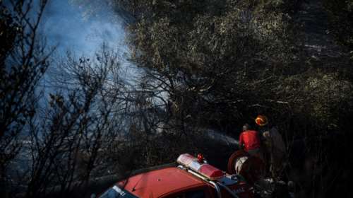 Φωτιά στον Μαραθώνα: Καίγεται δασική έκταση - "Στη μάχη" και εναέρια μέσα
