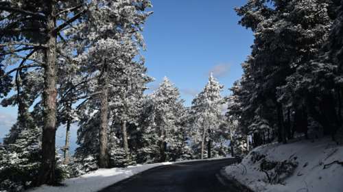 Κλειστή η Λεωφόρος Πάρνηθος από το ύψος του τελεφερίκ λόγω χιονόπτωσης