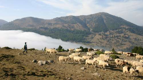 Όταν οι Νεάντερταλ... περπατούσαν στον Σμόλικα: Χιλιάδες κατάλοιπα από λίθινα εργαλεία [Εικόνες]