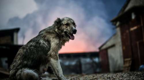 Ζερεφός: Παράξενο και ακραίο έτος το 2023 – Η φύση μάς αναγκάζει να πάρουμε μέτρα