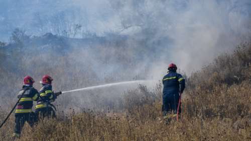 Φωτιά στη Μεσσηνία: Οι φλόγες καίνε αγροτοδασική έκταση στην Πύλο