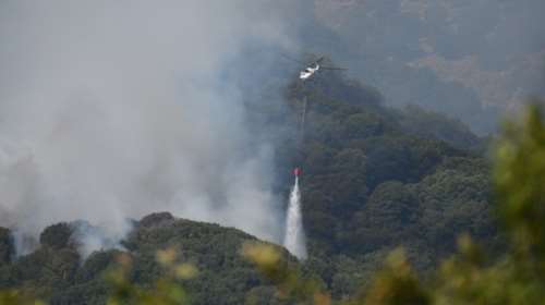 Φωτιά στην ανατολική Μάνη - Επιχειρούν και εναέρια μέσα