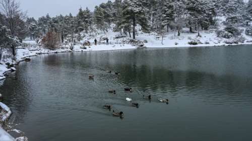 Κακοκαιρία Avgi: Μαγικό τοπίο η λίμνη Μπελέτσι στην Ιπποκράτειο Πολιτεία - Υπέροχες εικόνες που θυμίζουν... Ελβετία