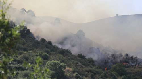 Η φωτιά στο Πήλιο ξεκίνησε από αυτοκίνητο που πήρε φωτιά λόγω βραχυκυκλώματος- Υπό έλεγχο το πύρινο μέτωπο