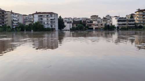 Εφιαλτική προειδοποίηση Αρναούτογλου μετά τις πλημμύρες: Κίνδυνος τα κουνούπια και οι ασθένειες