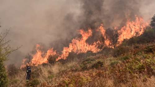 Έρευνα για το πώς ξεκίνησε η φωτιά στο Ξυλόκαστρο: Γνωστός αντιδήμαρχος κάπνιζε στο χωράφι τα μελίσσια του, του έβαλαν πρόστιμο