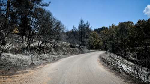 Φωτιές στην Αττική: Ποιοι δρόμοι είναι κλειστοί - Η ενημέρωση της Τροχαίας