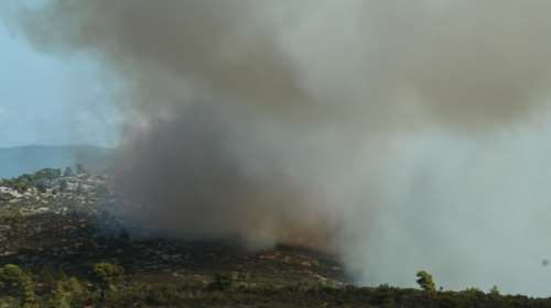 Μεσσηνία: Μαίνεται ακόμα η πυρκαγιά στη Χρυσοκελλαριά - Δεν κινδυνεύουν σπίτια