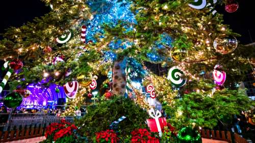 &quot;Μύρισαν&quot; Χριστούγεννα στην Αθήνα: Τοποθετούνται τα λαμπάκια στο Σύνταγμα, πότε θα φωταγωγηθεί το δέντρο