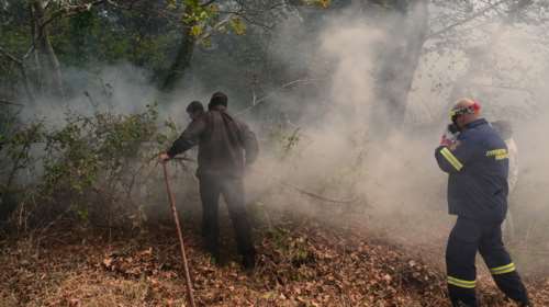 Φωτιά στην Ηλεία - Μεγάλη κινητοποίηση από την πυροσβεστική