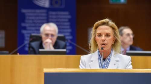 Η Βόζεμπεργκ ζήτησε συγγνώμη από τον Μίλτο Τεντόγλου μετά τον σάλο για τη φωτογραφία του με το λογότυπο της ΝΔ