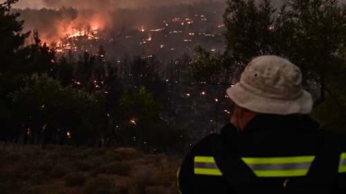 Φωτιά στον Ωρωπό: Με δείκτη επικινδυνότητας 5 τέθηκε υπό έλεγχο σε 8 ώρες - Ικανοποίηση στην κυβέρνηση