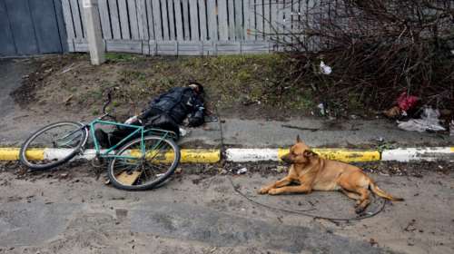 Φρίκη στη Μπούτσα: Ενας ποδηλάτης νεκρός, κρατάει ακόμα το λουρί του σκύλου του - Εκείνο περιμένει μάταια το αφεντικό του να σηκωθεί