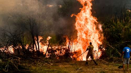 Σε δύο μέτωπα η φωτιά στην Ηλεία: Στάλθηκε 112 για εκκένωση μέσα στη νύχτα - Μεγάλος κίνδυνος για πυρκαγιές και σήμερα